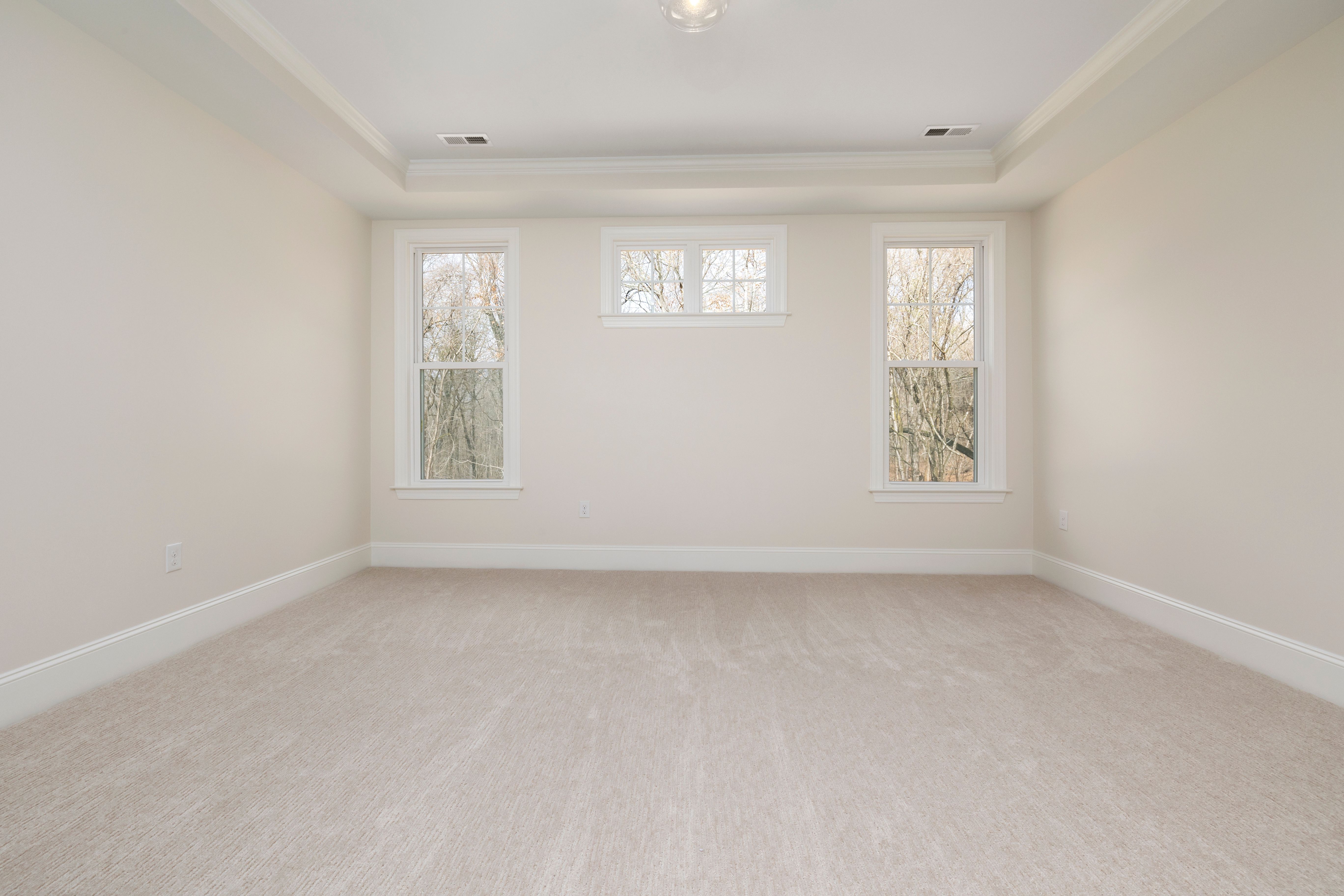 Carpet
